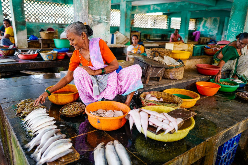 Local Fish Market Visits